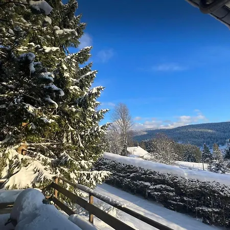 Grand De Charme Cosy, Sauna & Vue De Reve * Ban-sur-Meurthe-Clefcy