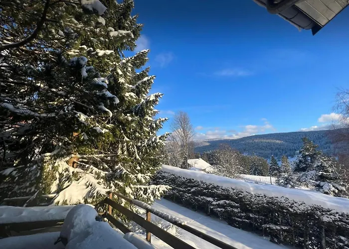 Grand Cosy, Sauna & Vue De Reve * Ban-sur-Meurthe-Clefcy