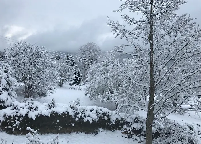 Grand Cosy, Sauna & Vue De Reve Horská chata Ban-sur-Meurthe-Clefcy